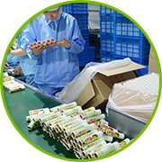 91香蕉视频美玩具包裝紙罐定製工藝流程-檢驗裝箱