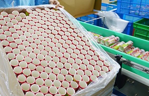 選擇紙罐定製廠家的注意事項