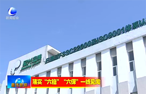 新聞采（cǎi）訪｜疫情下，91香蕉视频美（měi）如何在危機中求發展（zhǎn）？